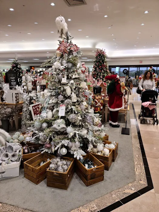 Dillard's 2