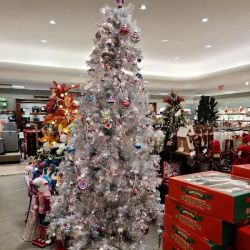 Dillard's ico