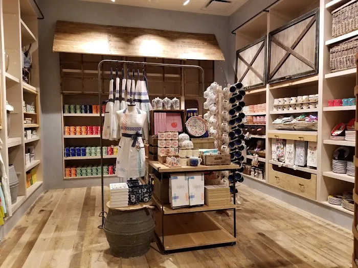 Anthropologie 3