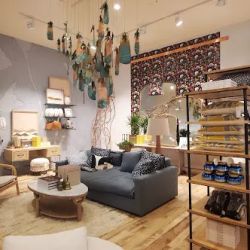 Anthropologie ico