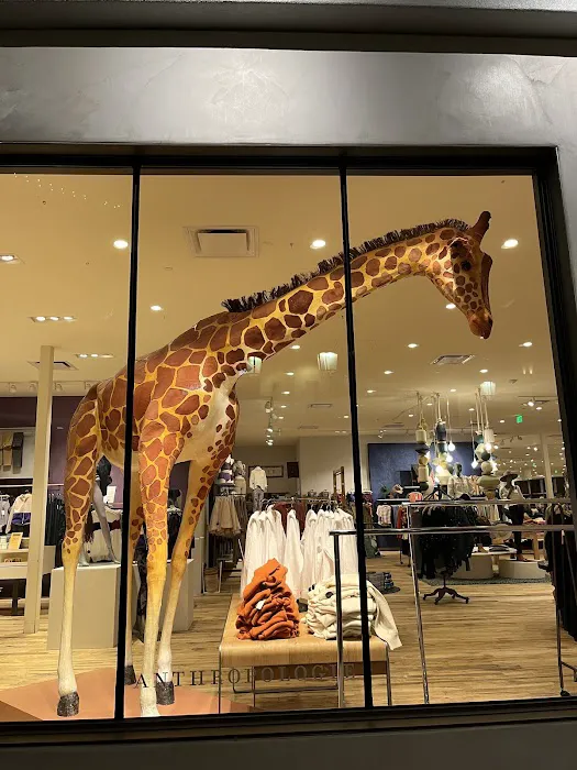 Anthropologie 2