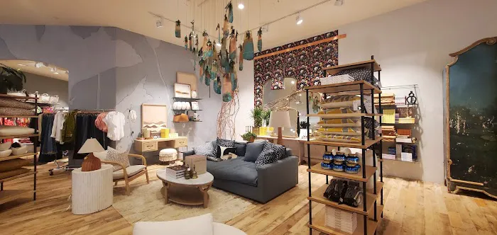 Anthropologie 1
