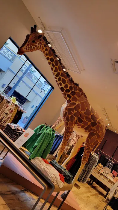 Anthropologie 4