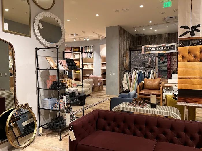Anthropologie 7