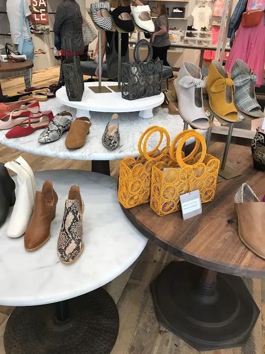 Anthropologie 9
