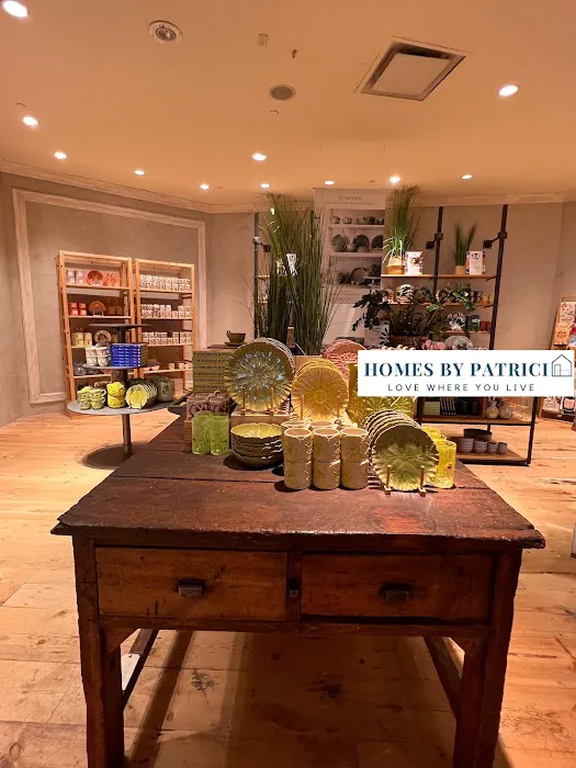 Anthropologie 3