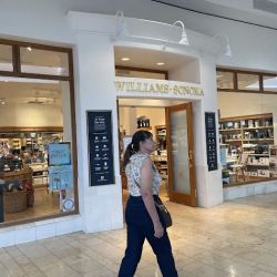 Williams-Sonoma ico