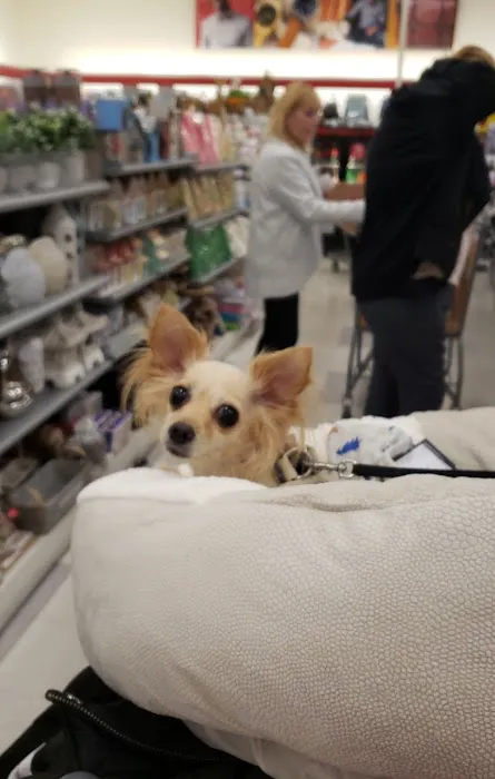 T.J. Maxx & HomeGoods 7