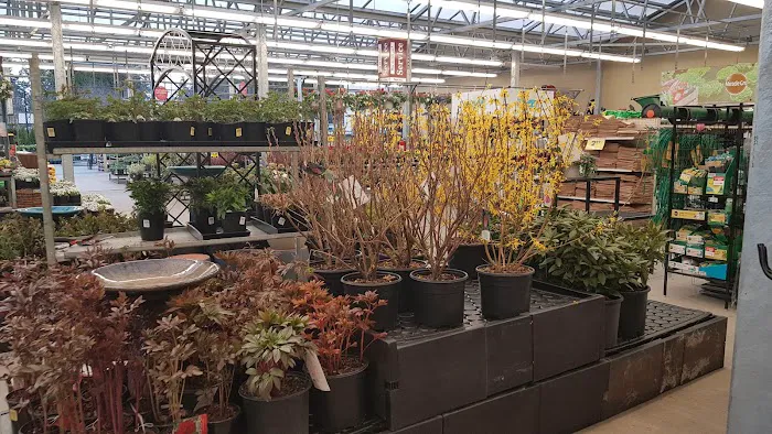 Fred Meyer 5