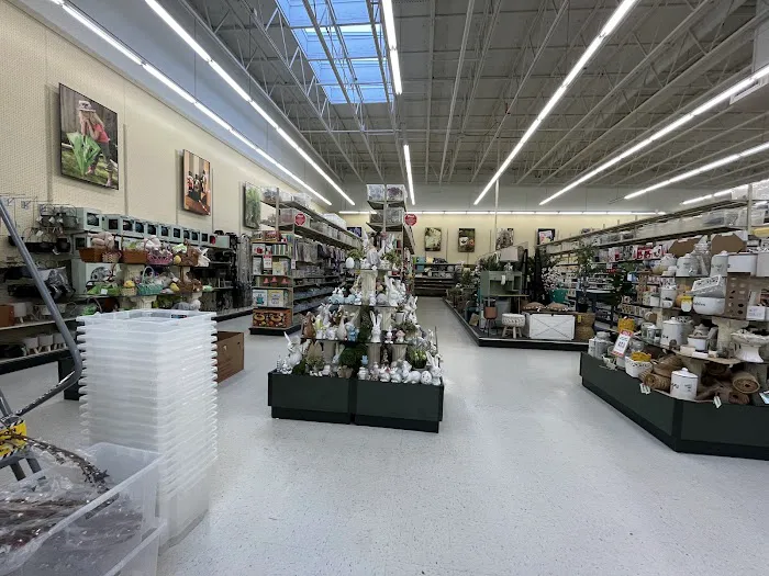 Hobby Lobby 4