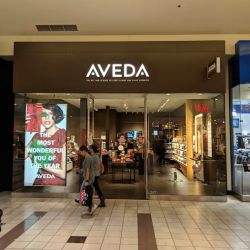 Aveda Store ico