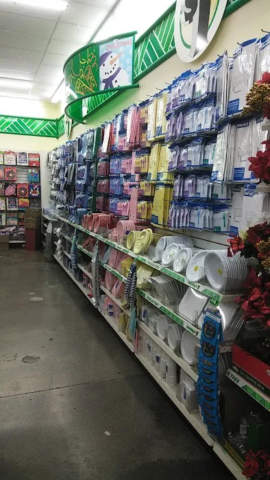 Dollar Tree 8