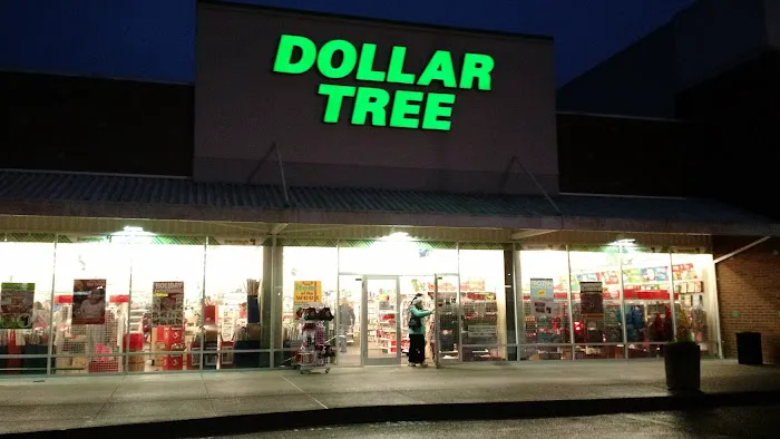 Dollar Tree 6