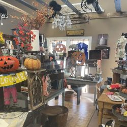 The Parkville Antique Mall ico