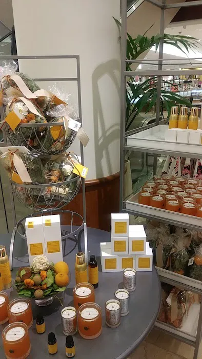 Dillard's 0