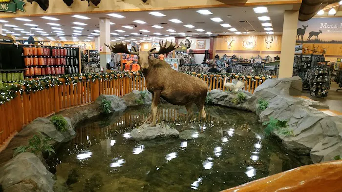 Bass Pro Shops 7