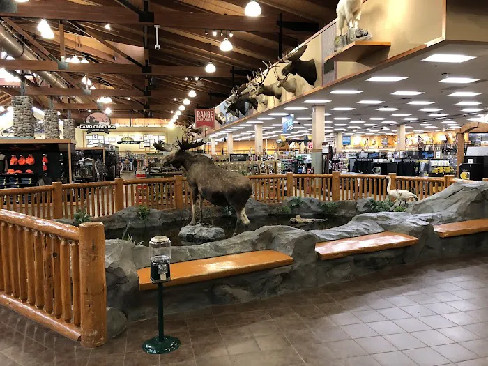 Bass Pro Shops 8