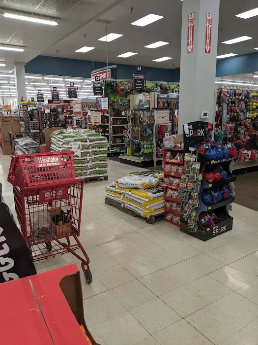 Westlake Ace Hardware 7