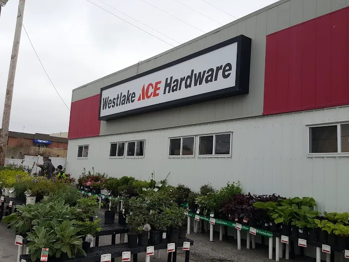 Westlake Ace Hardware 7