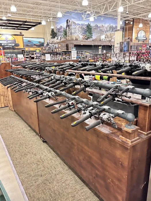Cabela's 3