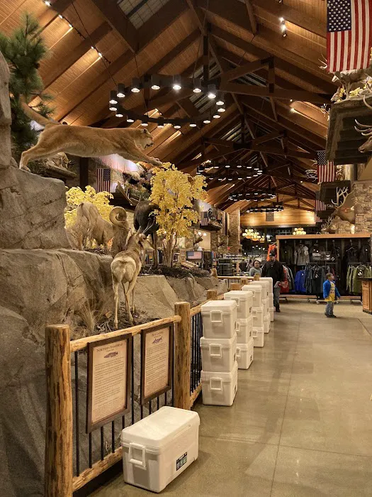 Cabela's 4