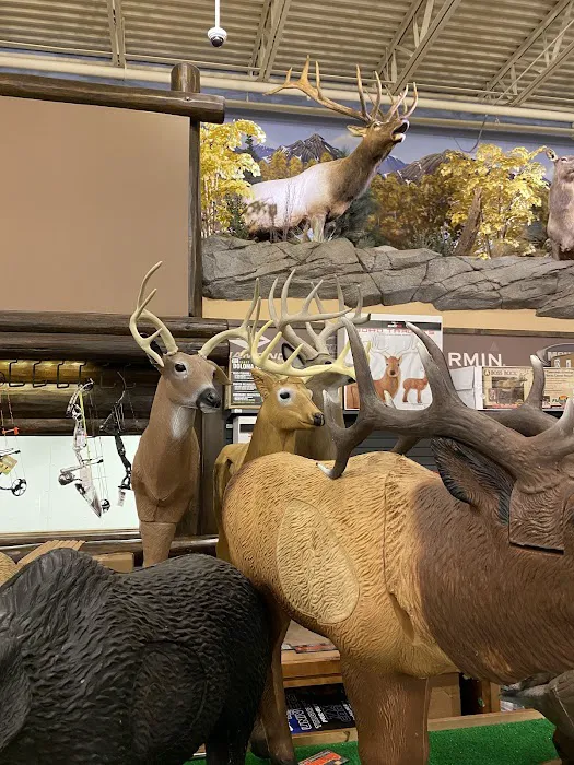 Cabela's 9