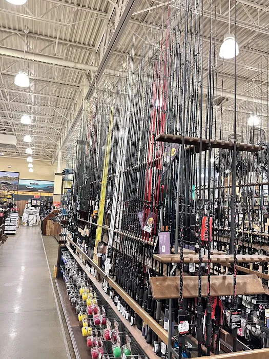 Cabela's 8