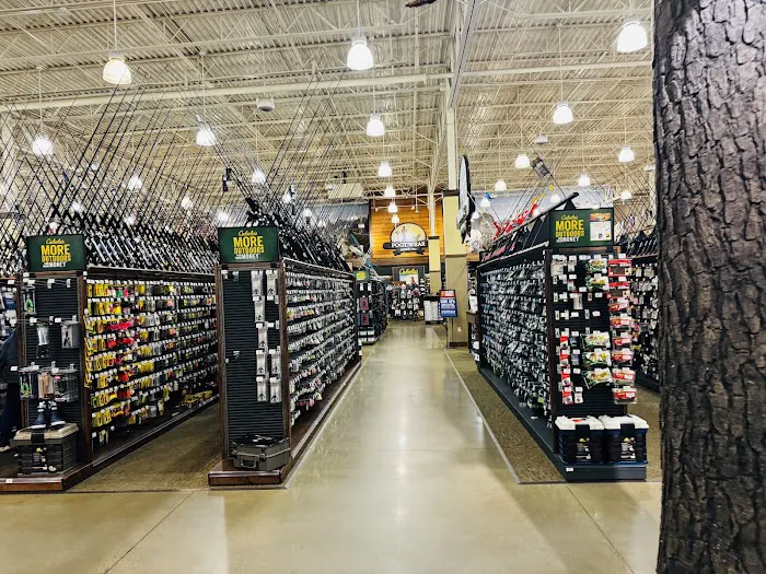 Cabela's 6