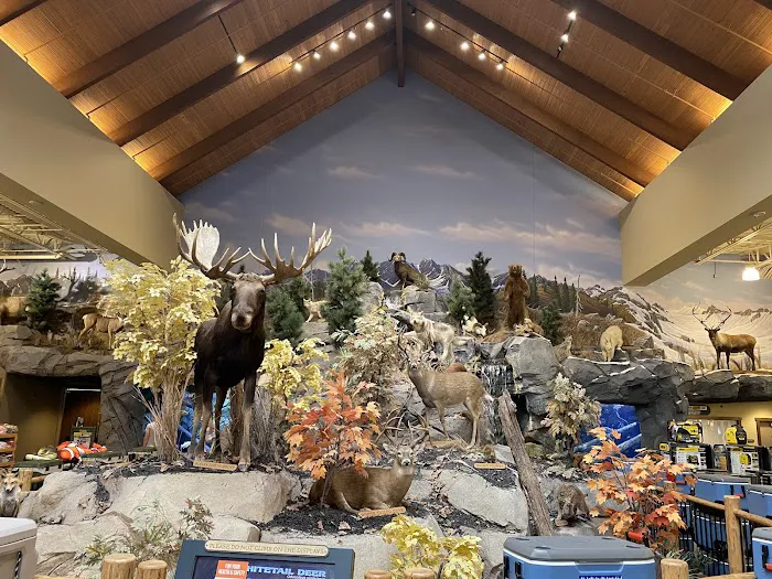 Cabela's 5