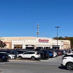 Costco Wholesale ico