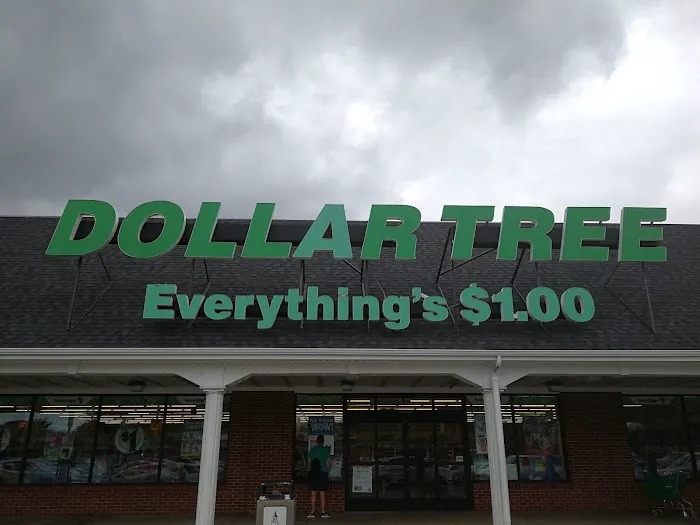 Dollar Tree 7