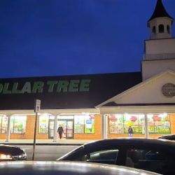 Dollar Tree ico