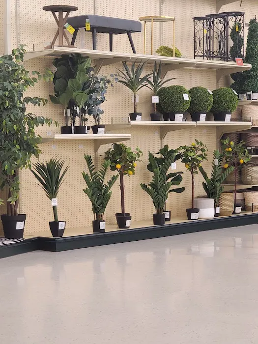 Hobby Lobby 3