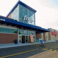 Meijer ico
