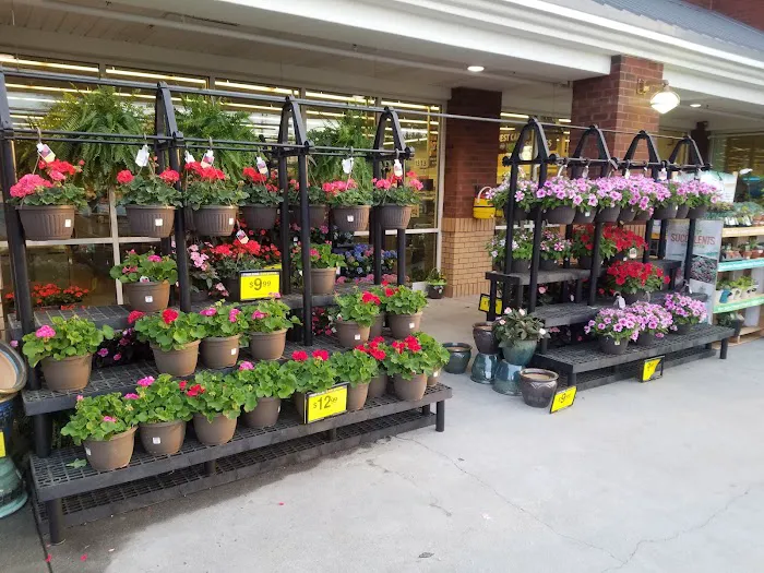 Kroger 5