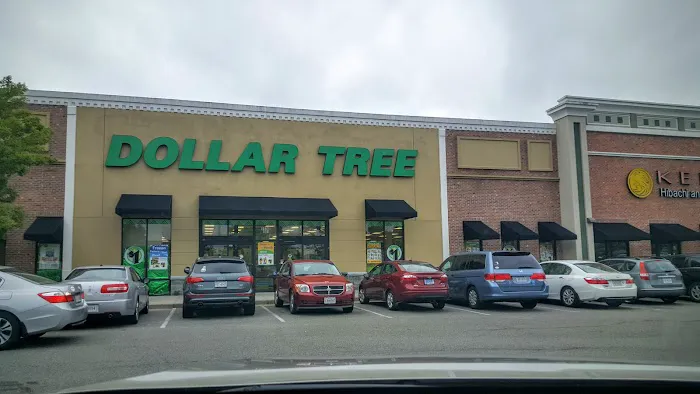 Dollar Tree 9
