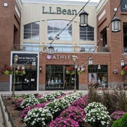 L.L.Bean ico
