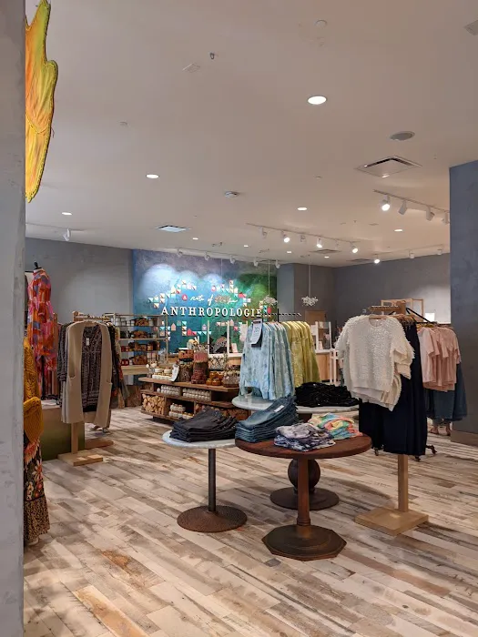 Anthropologie 0