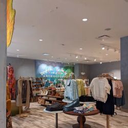Anthropologie ico