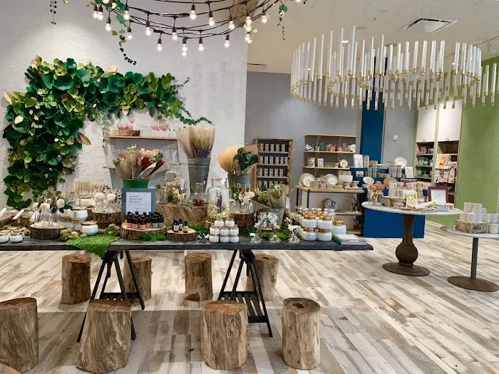 Anthropologie 2