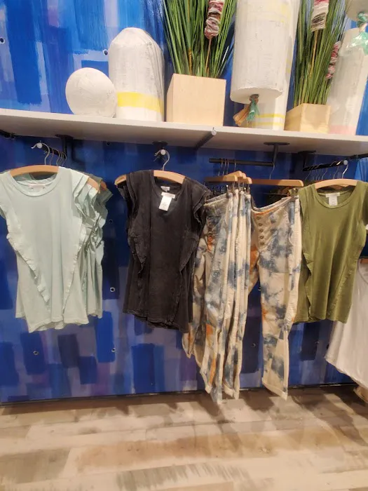 Anthropologie 3