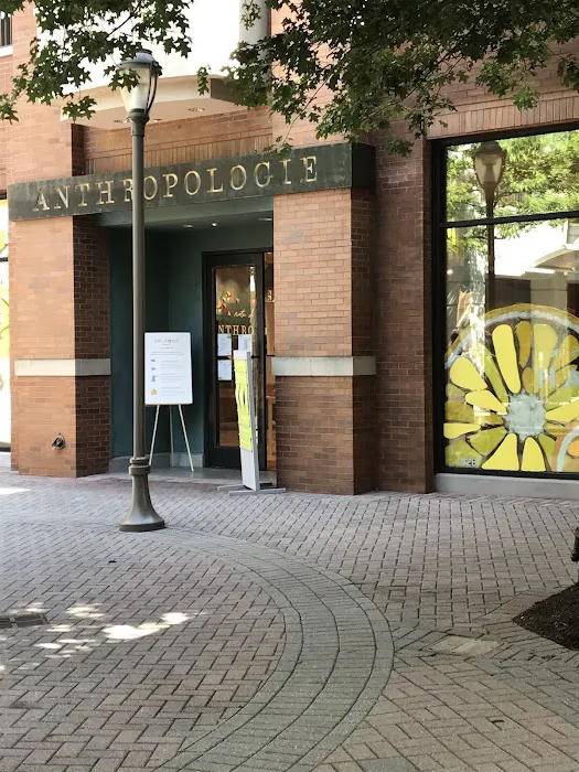 Anthropologie 7