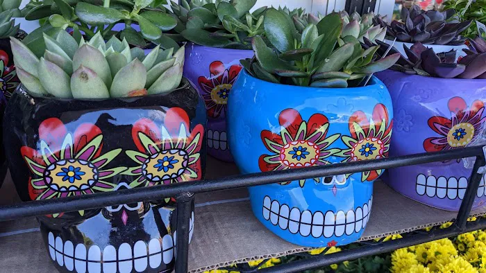 Trader Joe's 8