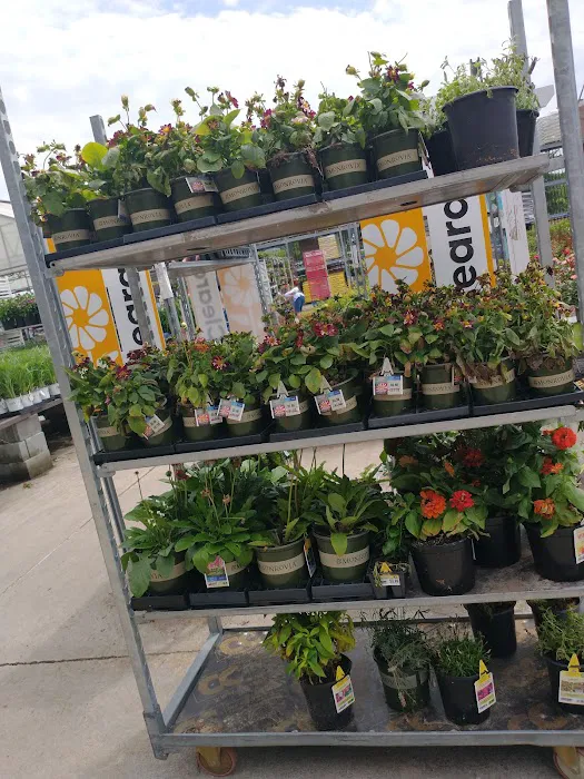 Lowe's Garden Center 2