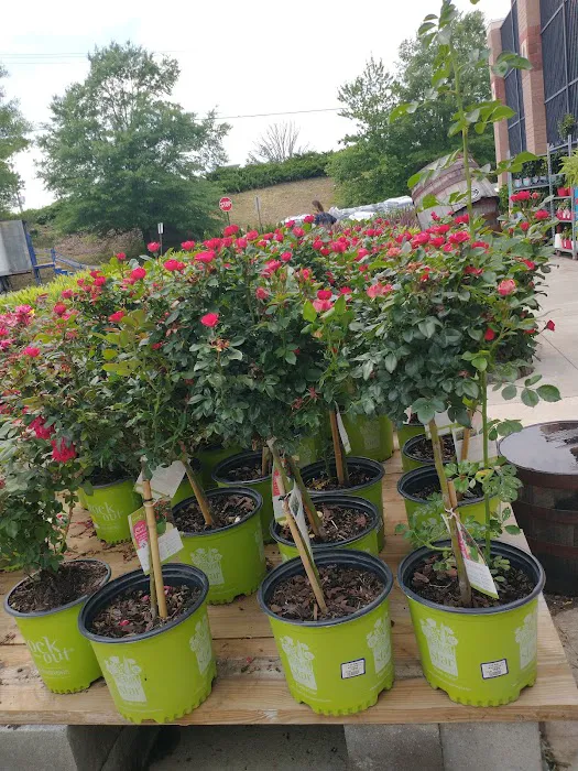 Lowe's Garden Center 7