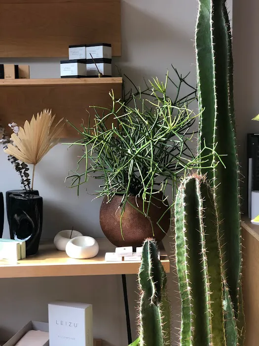 Boketto Wellness 7