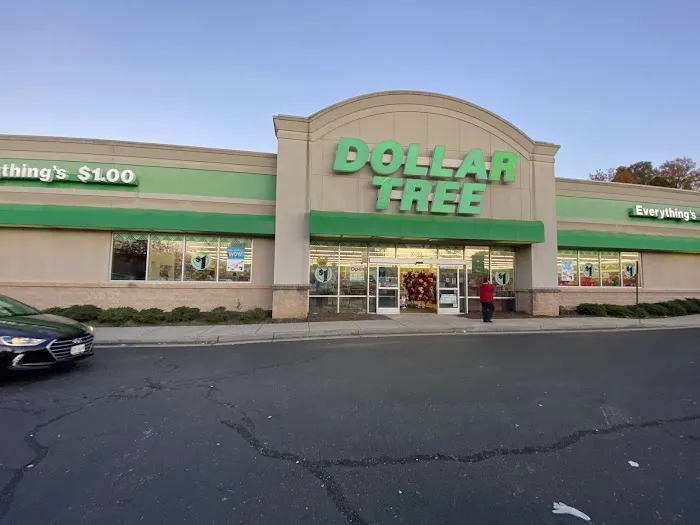 Dollar Tree 9