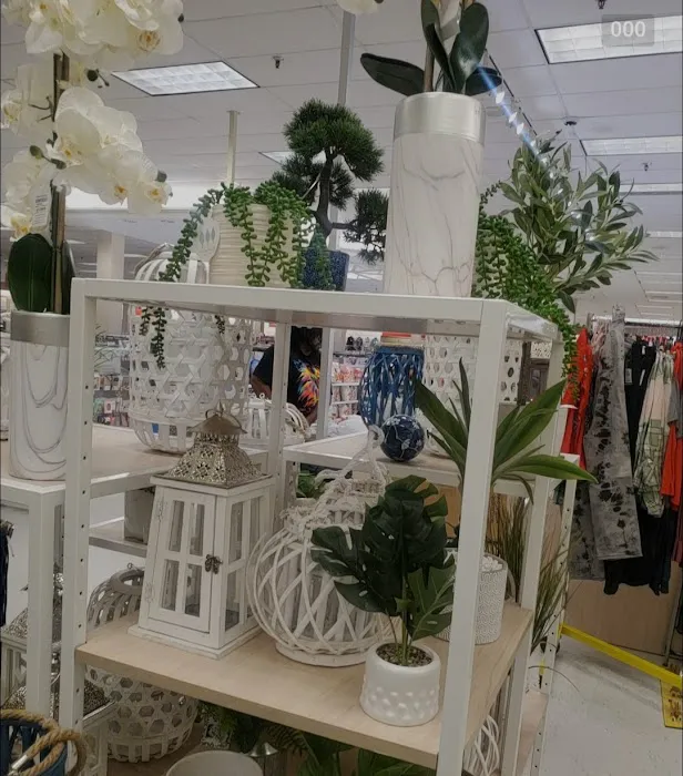bealls 3