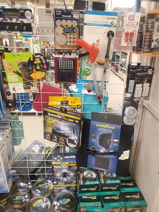 bealls 7