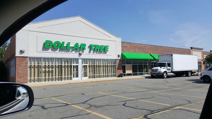 Dollar Tree 3